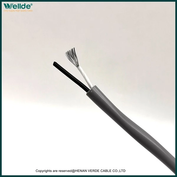product-600-600